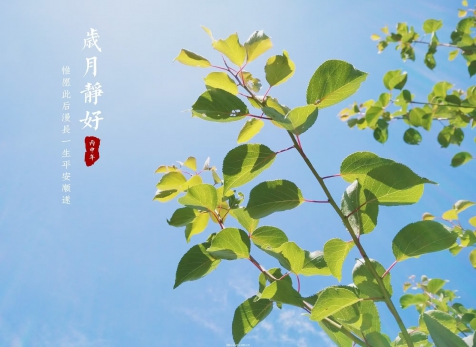 愿岁月静好，山河无恙