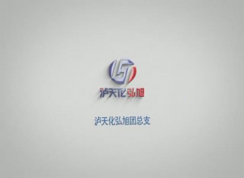 请党放心，强企有我